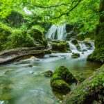 Throw an Eco-Friendly Party