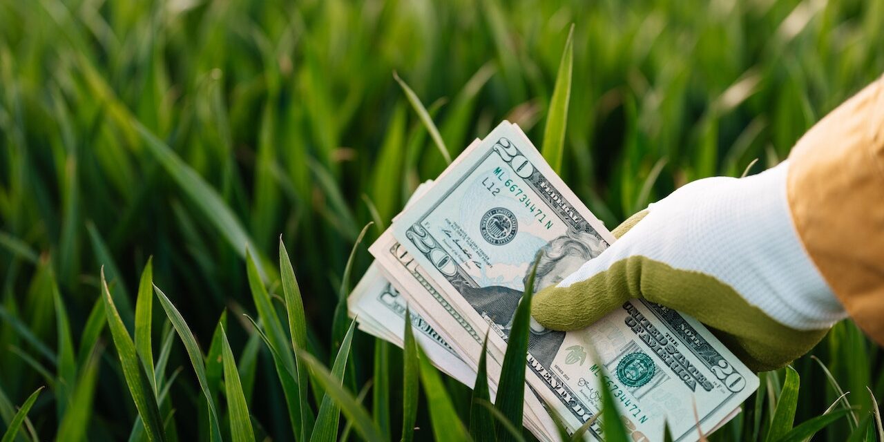 Go Green while Saving Money