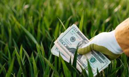 Go Green while Saving Money