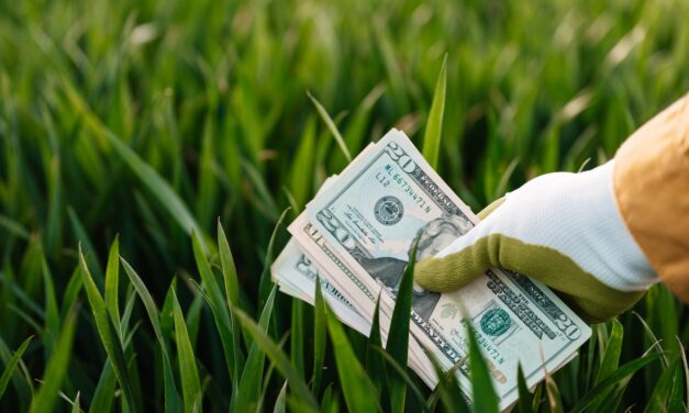 Go Green while Saving Money