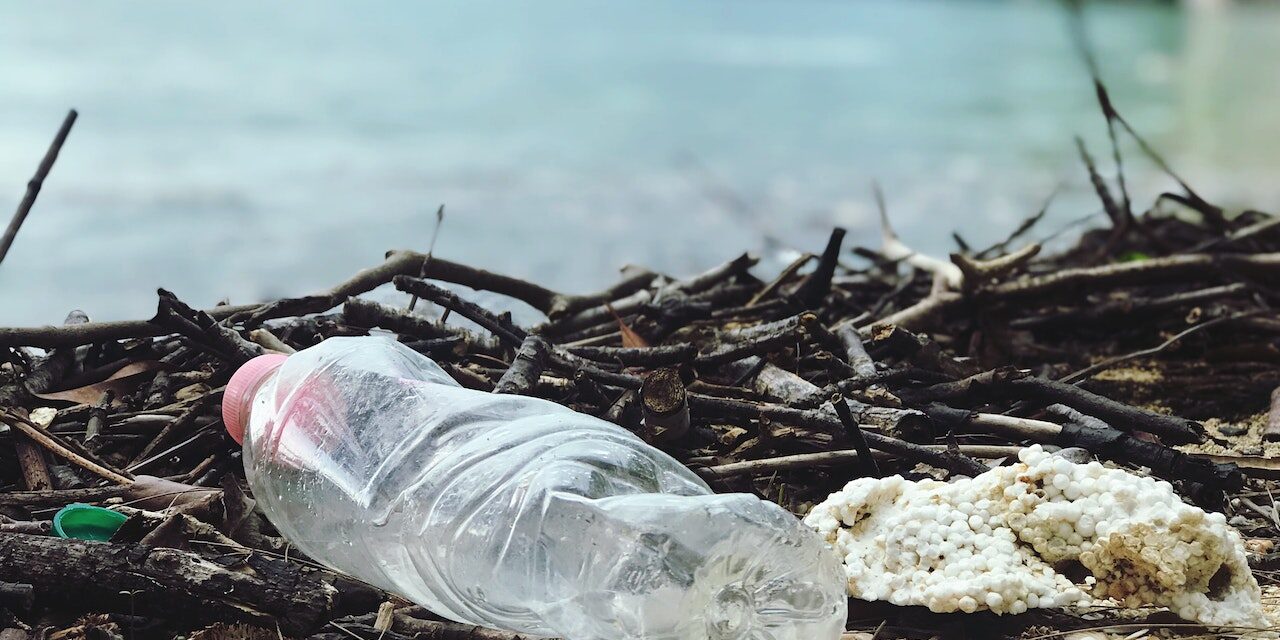 Avoiding single use plastics