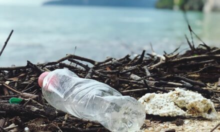 Avoiding single use plastics