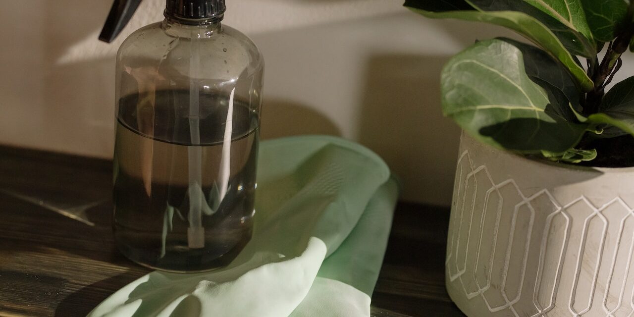 10 best environmentally friendly products for cleaning
