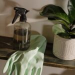 10 best environmentally friendly products for cleaning