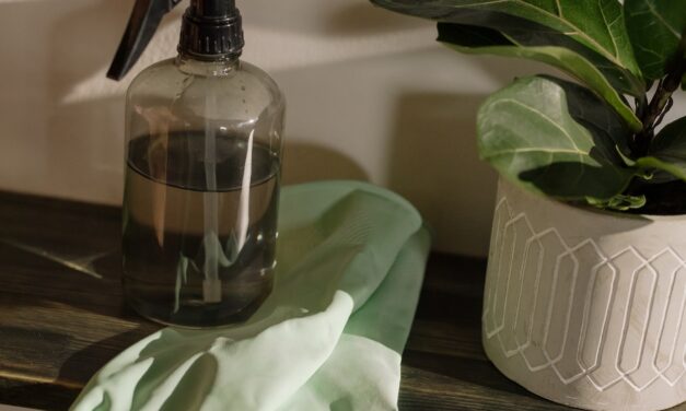 10 best environmentally friendly products for cleaning