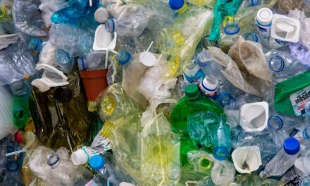 Best environmental way to recycle