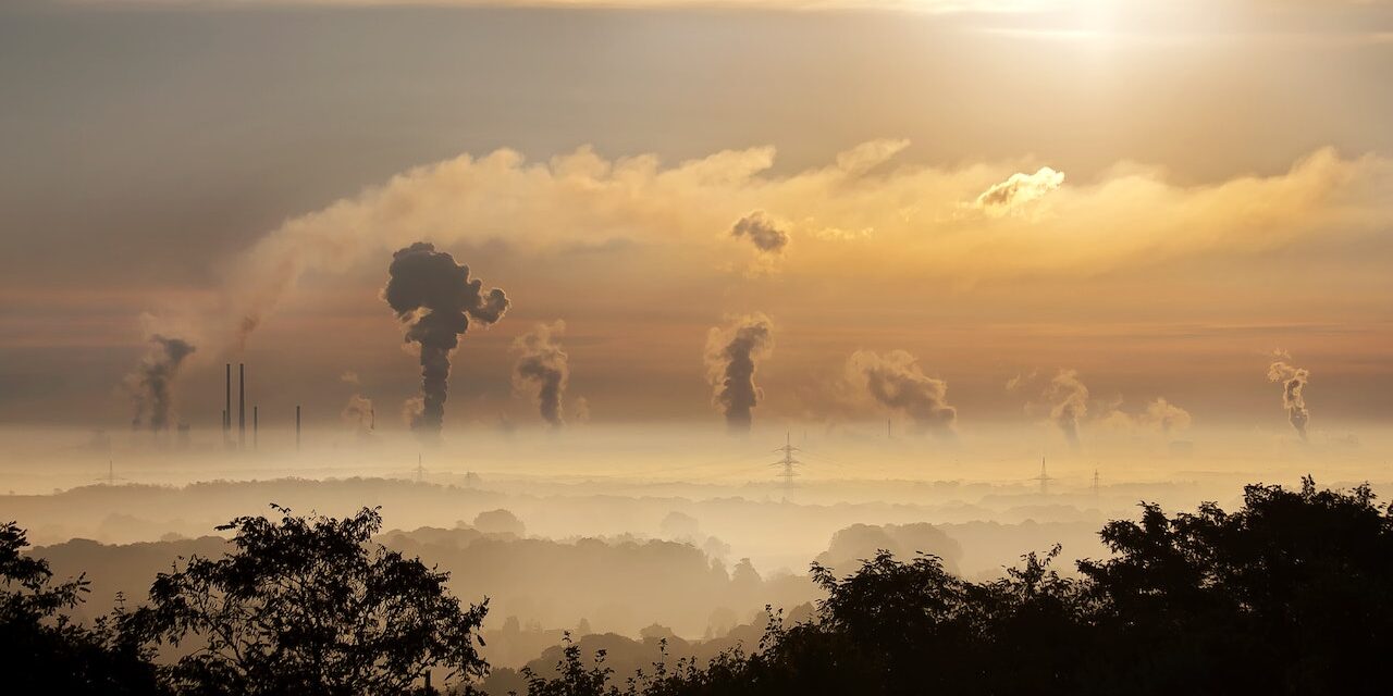Reducing the carbon footprint around the home