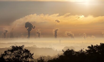 Reducing the carbon footprint around the home