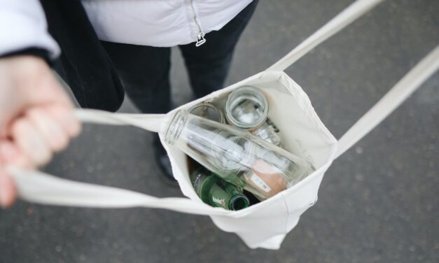 Best way to be environmentally friendly